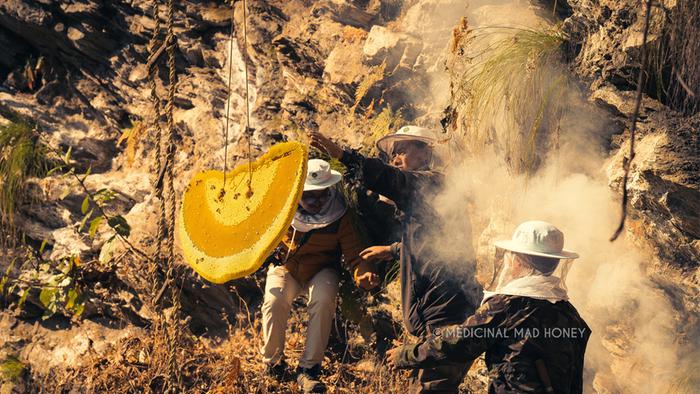 Mad Honey Hunting in Nepal