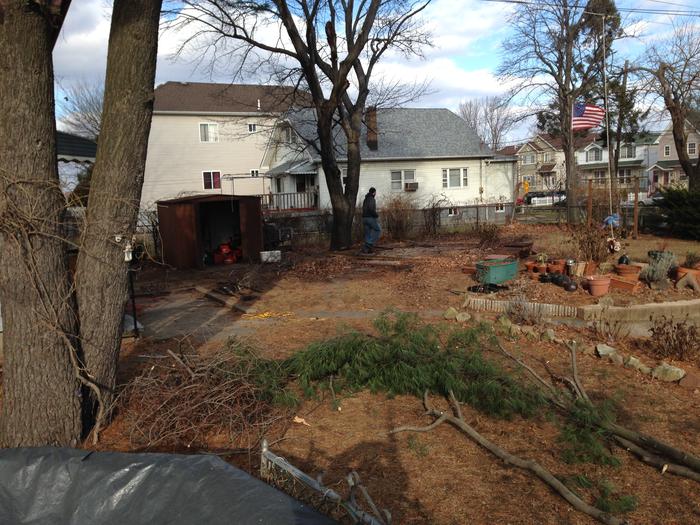 The pine branches are in my neighbors yard, my property roughly runs along the other side of that twisting path.