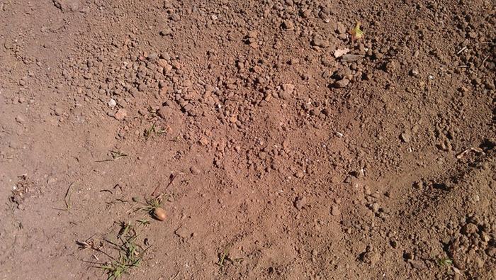 [Thumbnail for IMAG0323.resized.jpg]