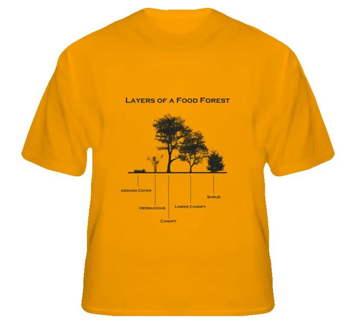 [Thumbnail for image.jpg]