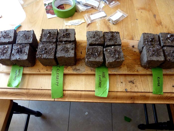 Planting seeds in soil blocks