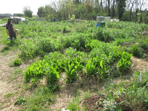 [Thumbnail for aut-after.JPG]