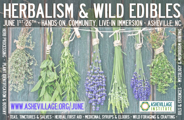 [Thumbnail for JUNE-banner.jpg]
