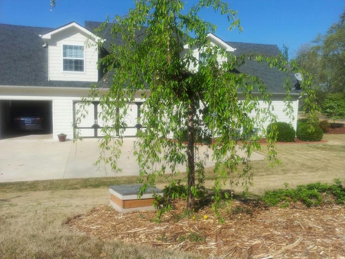 [Thumbnail for tmp_20140420_1658502107002203.jpeg]