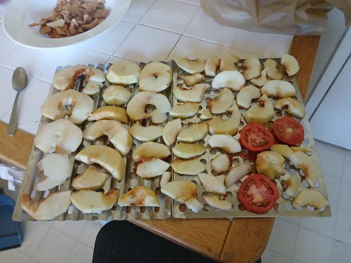 apples and tomatoes cut up on a metal rack to dehydrate