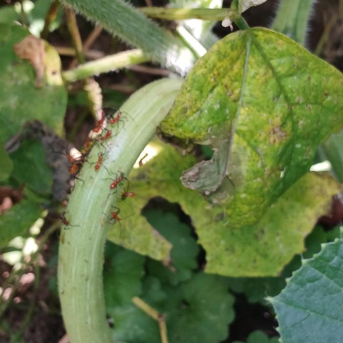 [Thumbnail for 20250824_140954.jpg]