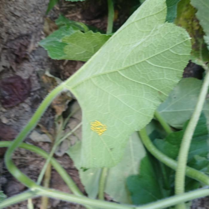 [Thumbnail for 20250824_140821.jpg]