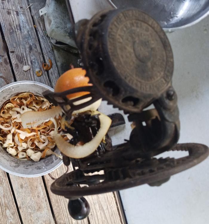 [Thumbnail for IMG_20250826_072448_619-2.jpg]