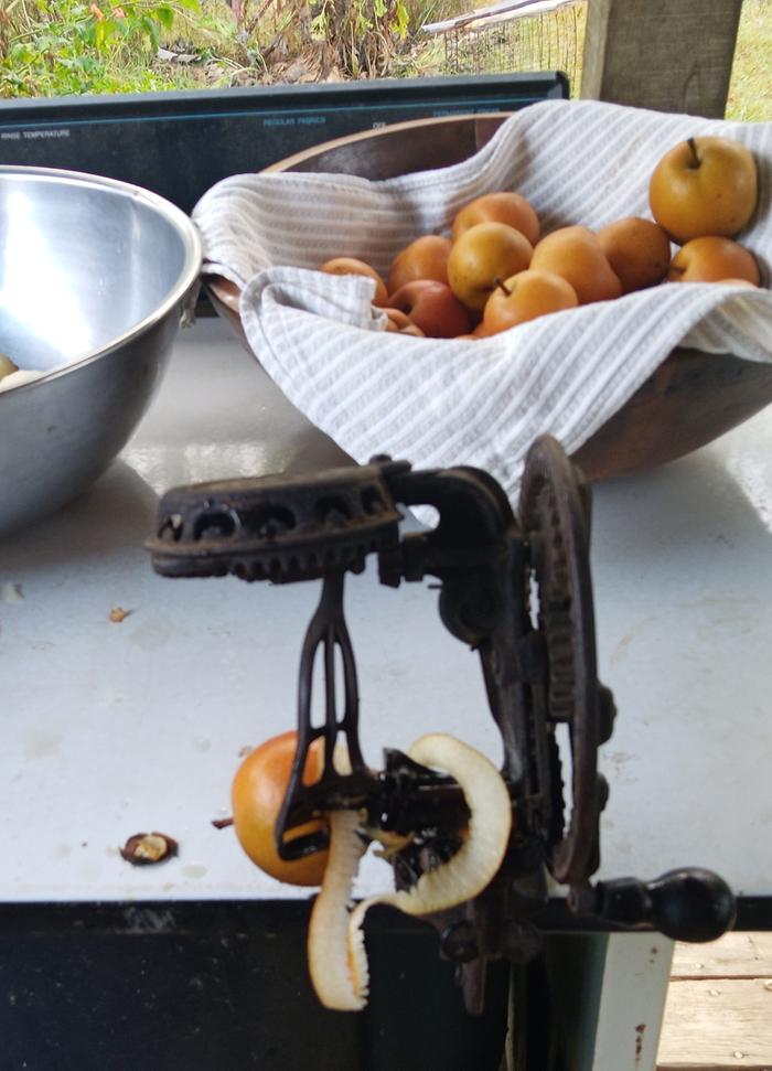 [Thumbnail for IMG_20250826_072513_891-2.jpg]