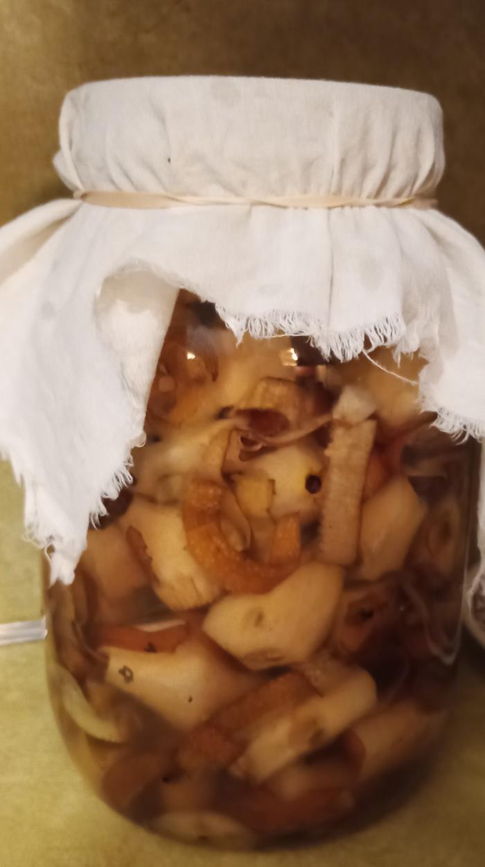 [Thumbnail for IMG_20250826_093900_368-2.jpg]