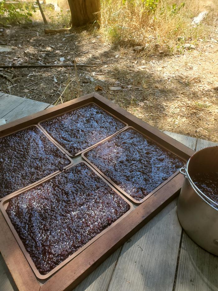 mashed berries in silicone drying trays
