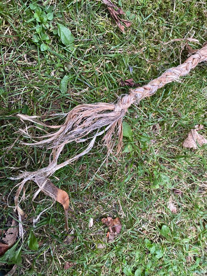 Nettles braided