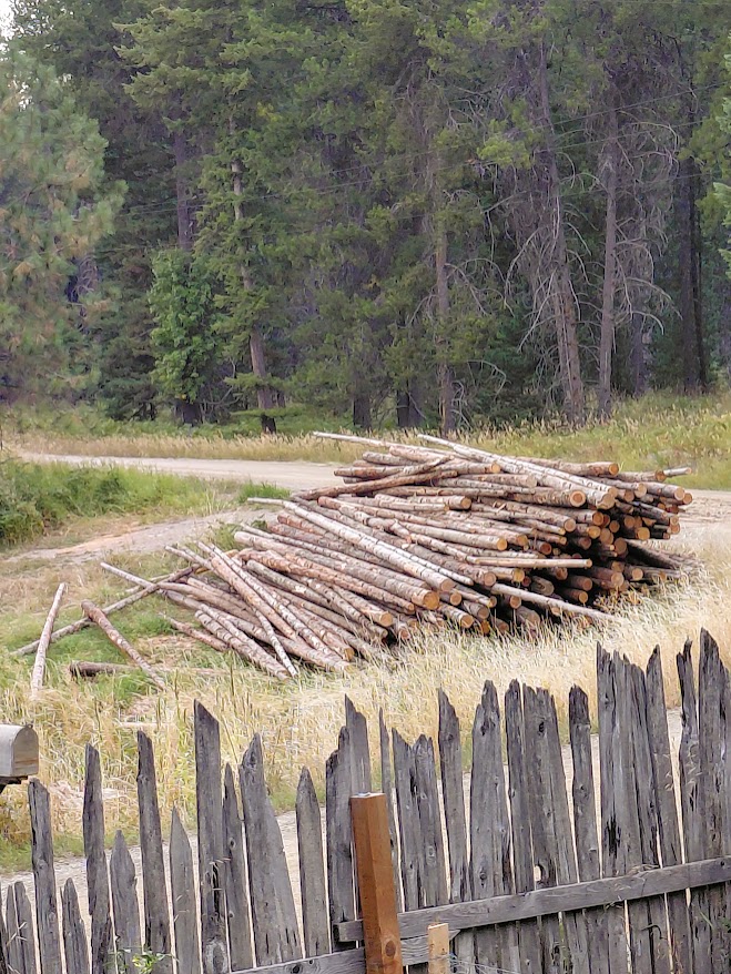 [Thumbnail for 20250828_190043.jpg]