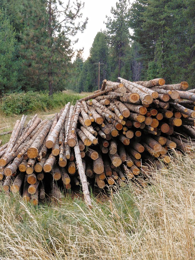 [Thumbnail for 20250828_190136.jpg]