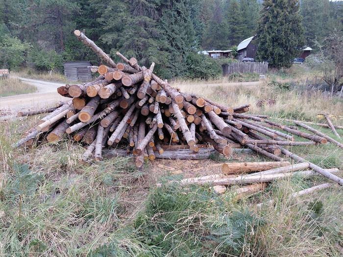 [Thumbnail for 20250828_190302.jpg]