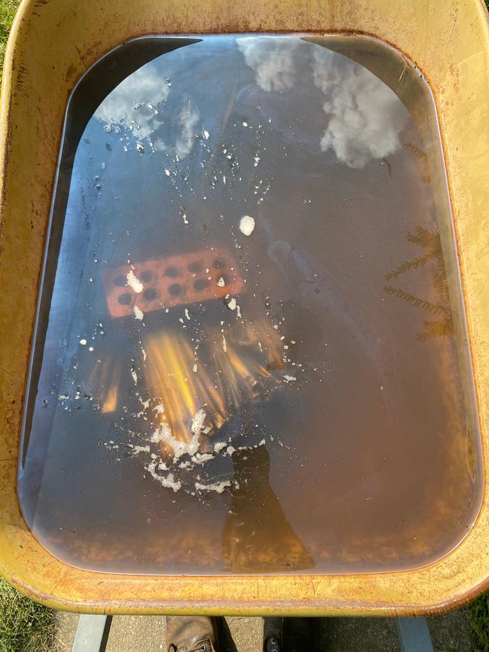The yucca leaves retting in a wheelbarrow. Note the sulfurous gas bubbles.