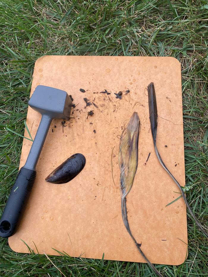 Scraping the remaining yucca leaves with a mussel shell and pounding them with a kitchen mallet.