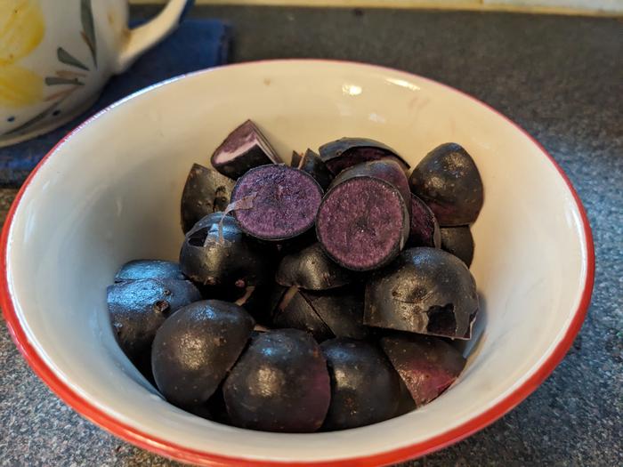 Inky purple Vitanoire new potatoes in Jul 2024.