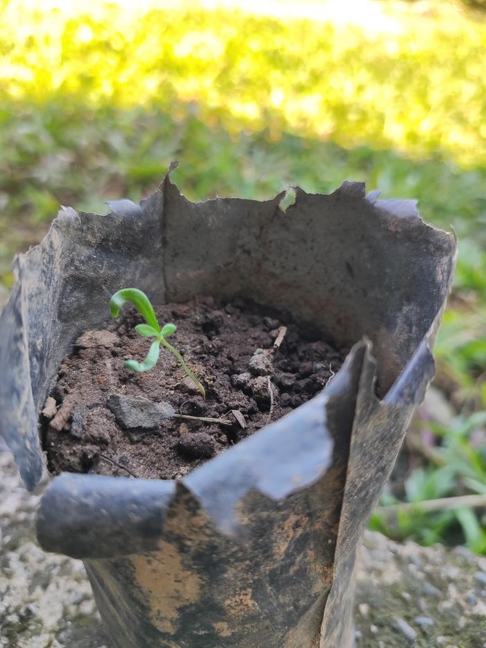 [Thumbnail for IMG_20250907_112649.jpg]