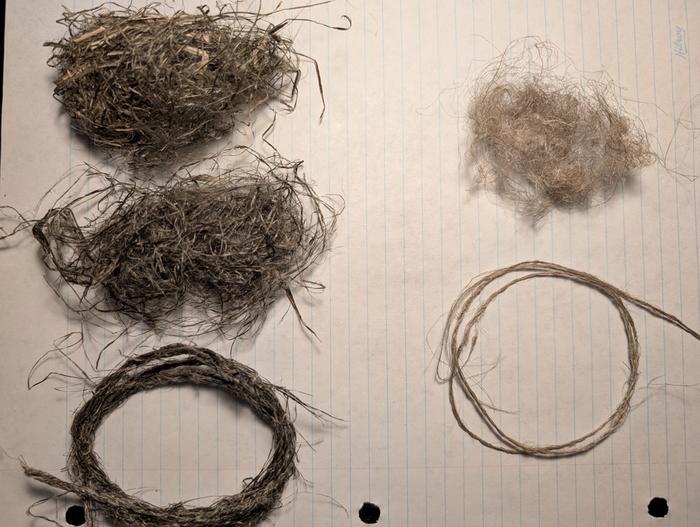 Comparison of nettle and flax fibres