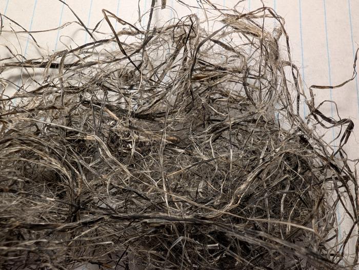 Close-up of picked fibre, showing presence fine fibres