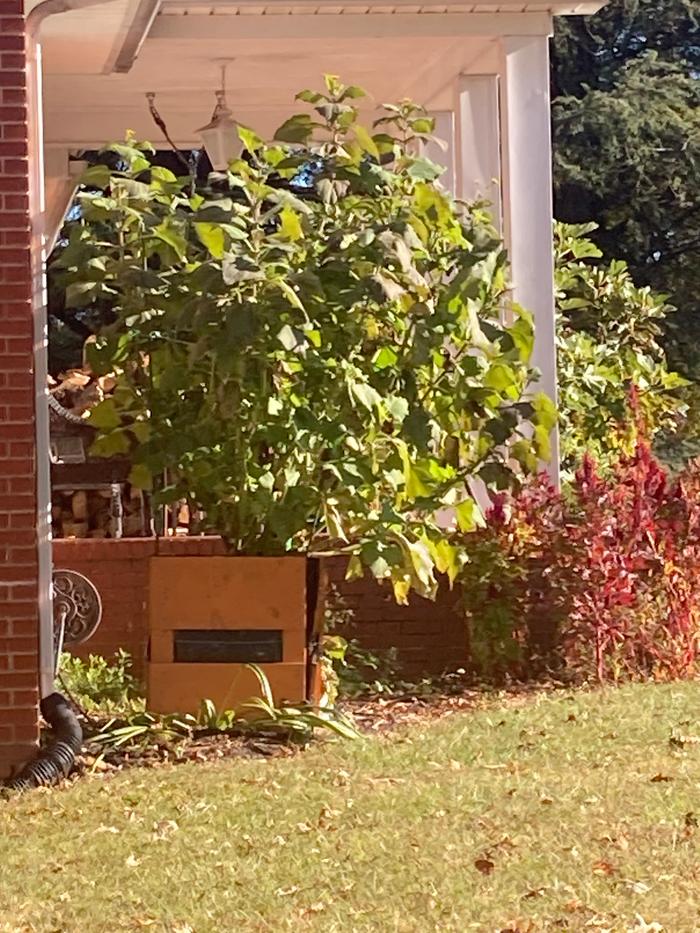 [Thumbnail for IMG_7070.jpeg]