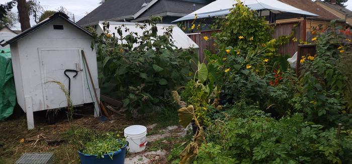 [Thumbnail for 20251018_134952.jpg]