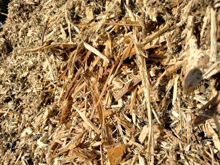 [Thumbnail for IMG20250912101941.jpg]