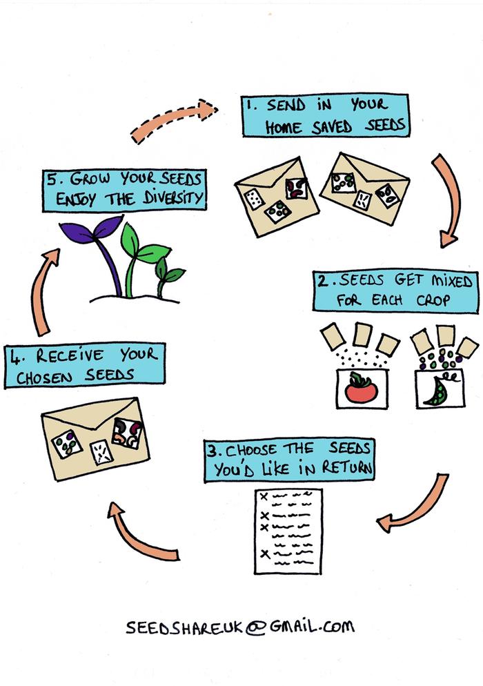 [Thumbnail for pictorial-sized-down.jpg]