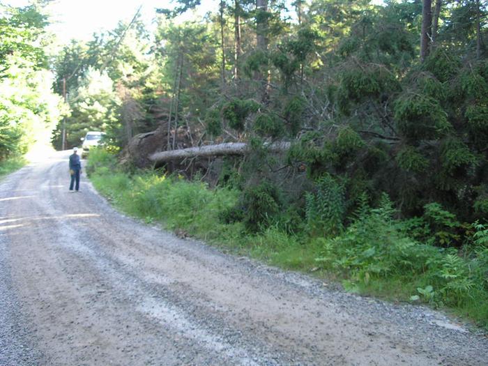 Roadside collection