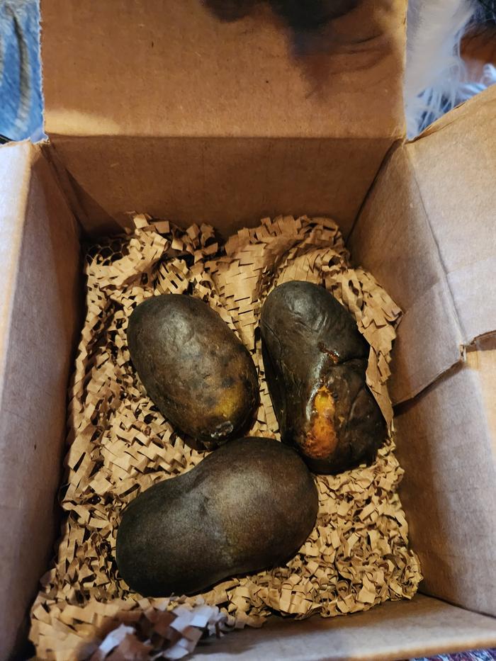 3 pawpaws, shipped