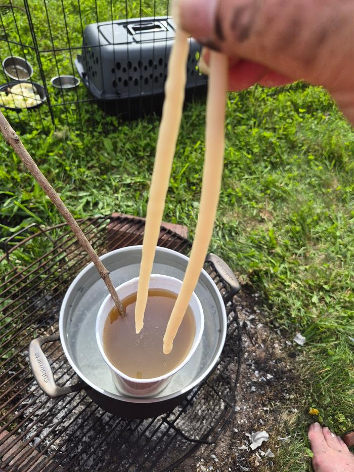 Dipping in progress 