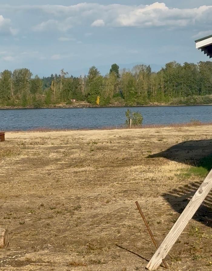 sandy river bank with short grass looking over at mature trees in distance