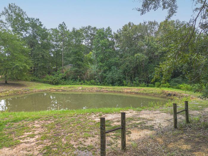 [Thumbnail for 42-4.jpg]