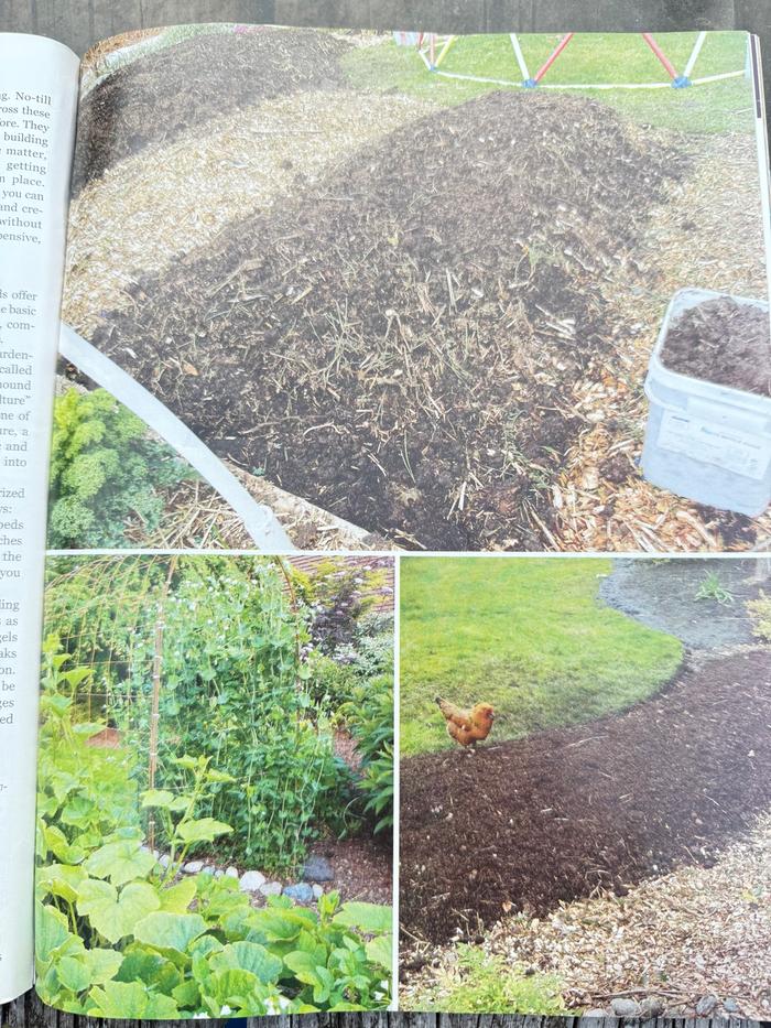 [Thumbnail for urban-farm-page-41.jpg]