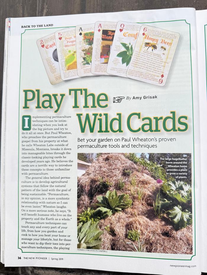 [Thumbnail for The-New-Pioneer-2019-pg-36.jpg]