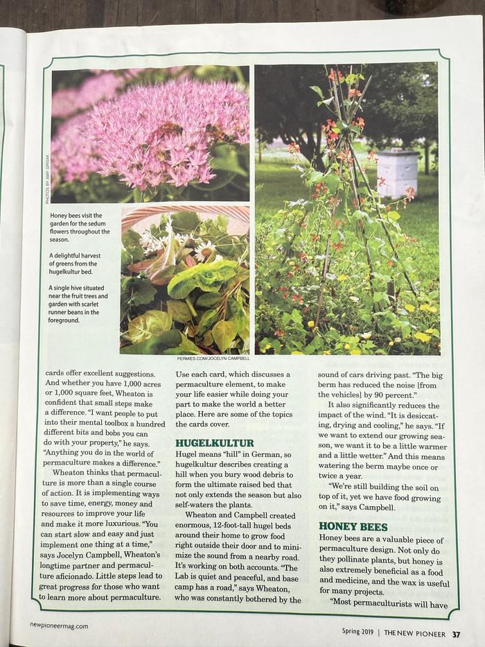 [Thumbnail for The-New-Pioneer-2019-pg-37.jpg]