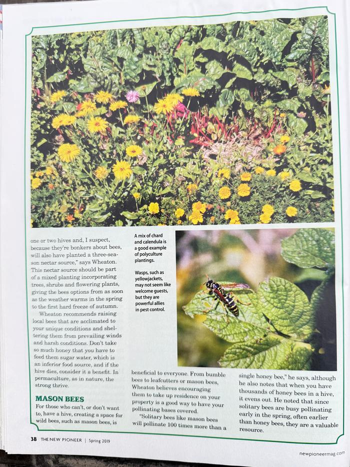 [Thumbnail for The-New-Pioneer-2019-pg-38.jpg]