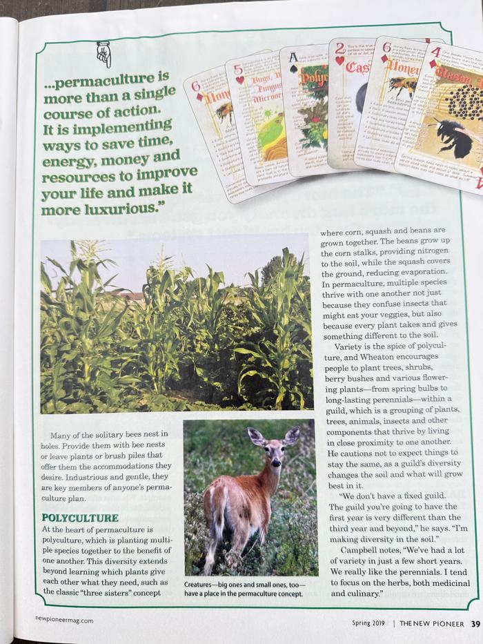 [Thumbnail for The-New-Pioneer-2019-pg-39.jpg]