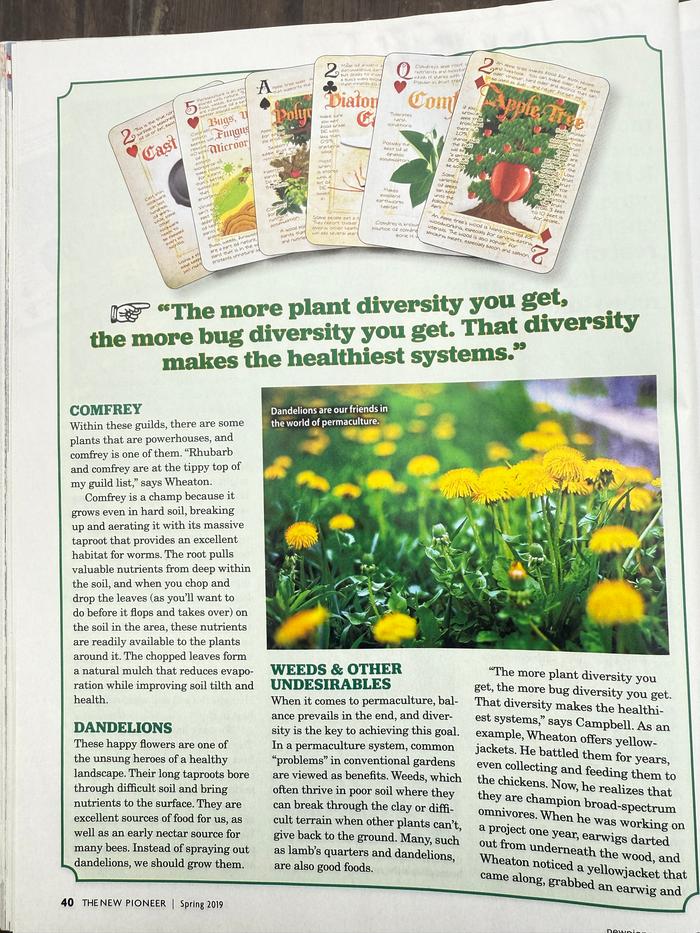 [Thumbnail for The-New-Pioneer-2019-pg-40.jpg]