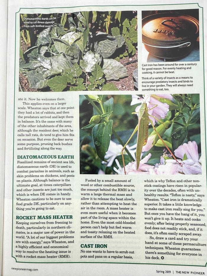 [Thumbnail for The-New-Pioneer-2019-pg-41.jpg]