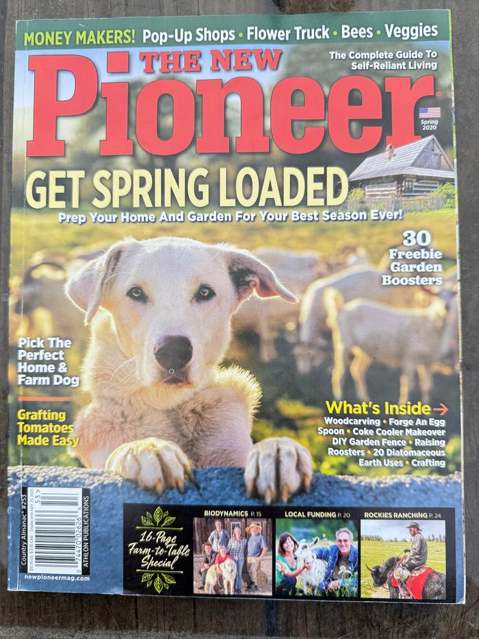 [Thumbnail for The-New-Pioneer-2020-cover.jpg]
