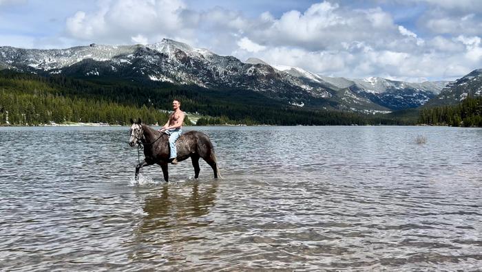 Lee (Montana 2024)