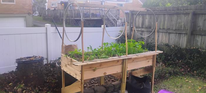 Raised bed with bicycle rim hoops