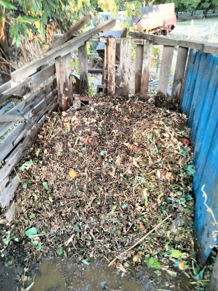 new pile day 1 9/27/25