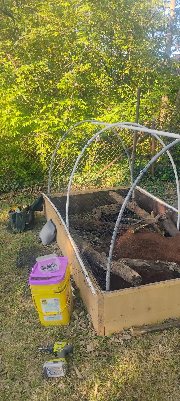 Bed with hoops