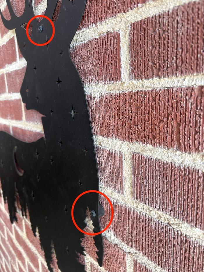 [Thumbnail for IMG_8243.JPG]