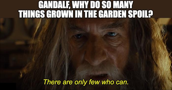 Gandalf explains that few people can