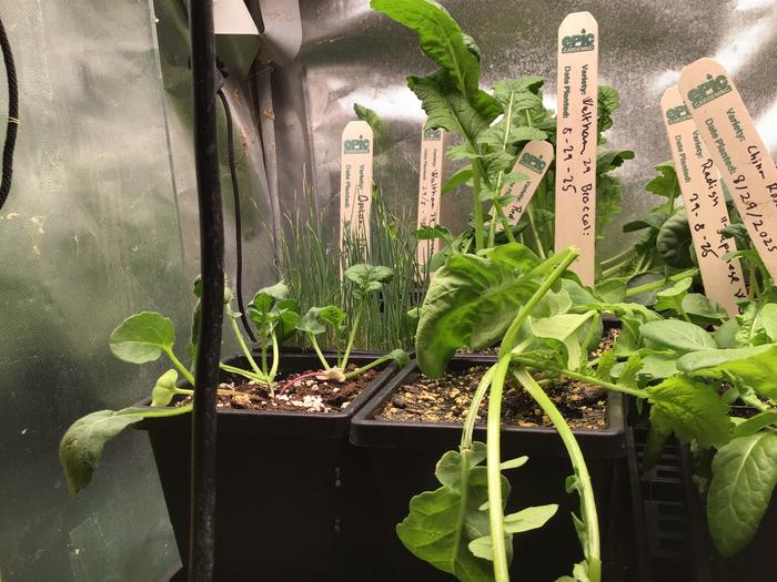 [Thumbnail for IMG_3130.jpeg]