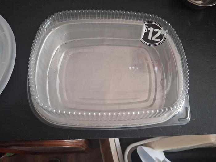 takeout container with lid